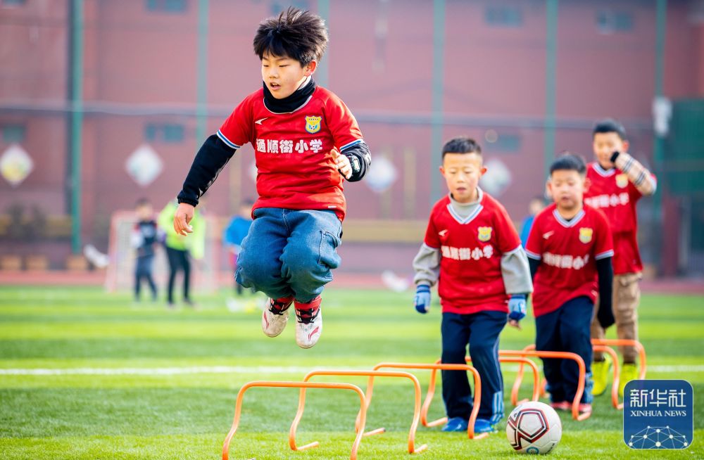 斗鱼2024年Q3财报公布，多元化战略成效显著，收入结构持续优化